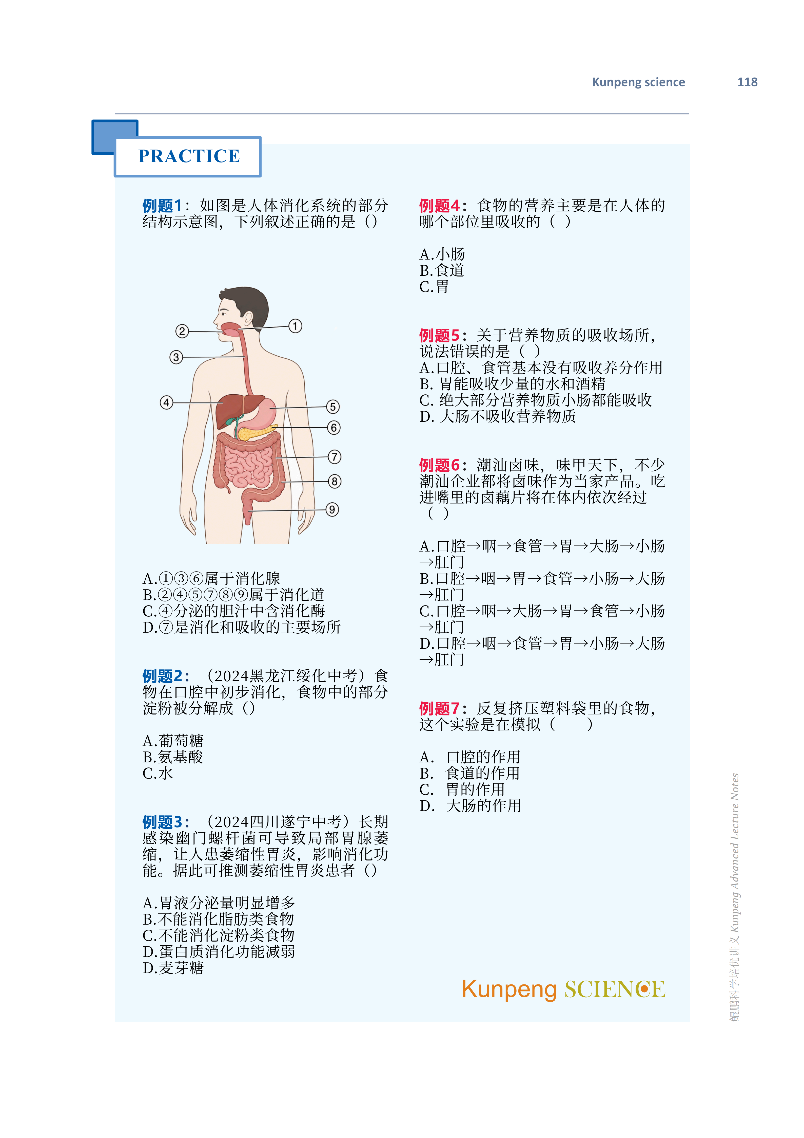 培优讲义 11