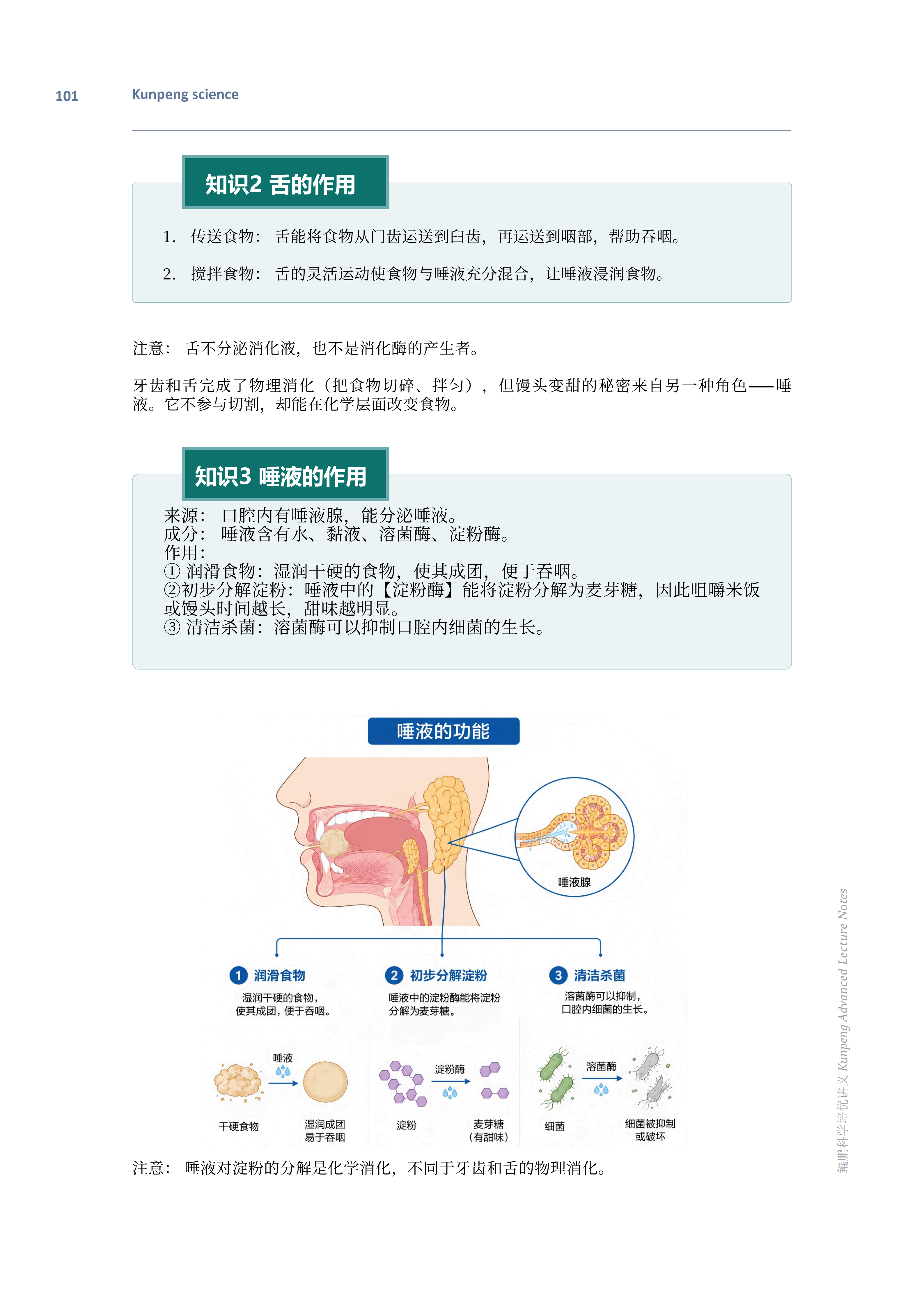 培优讲义 12