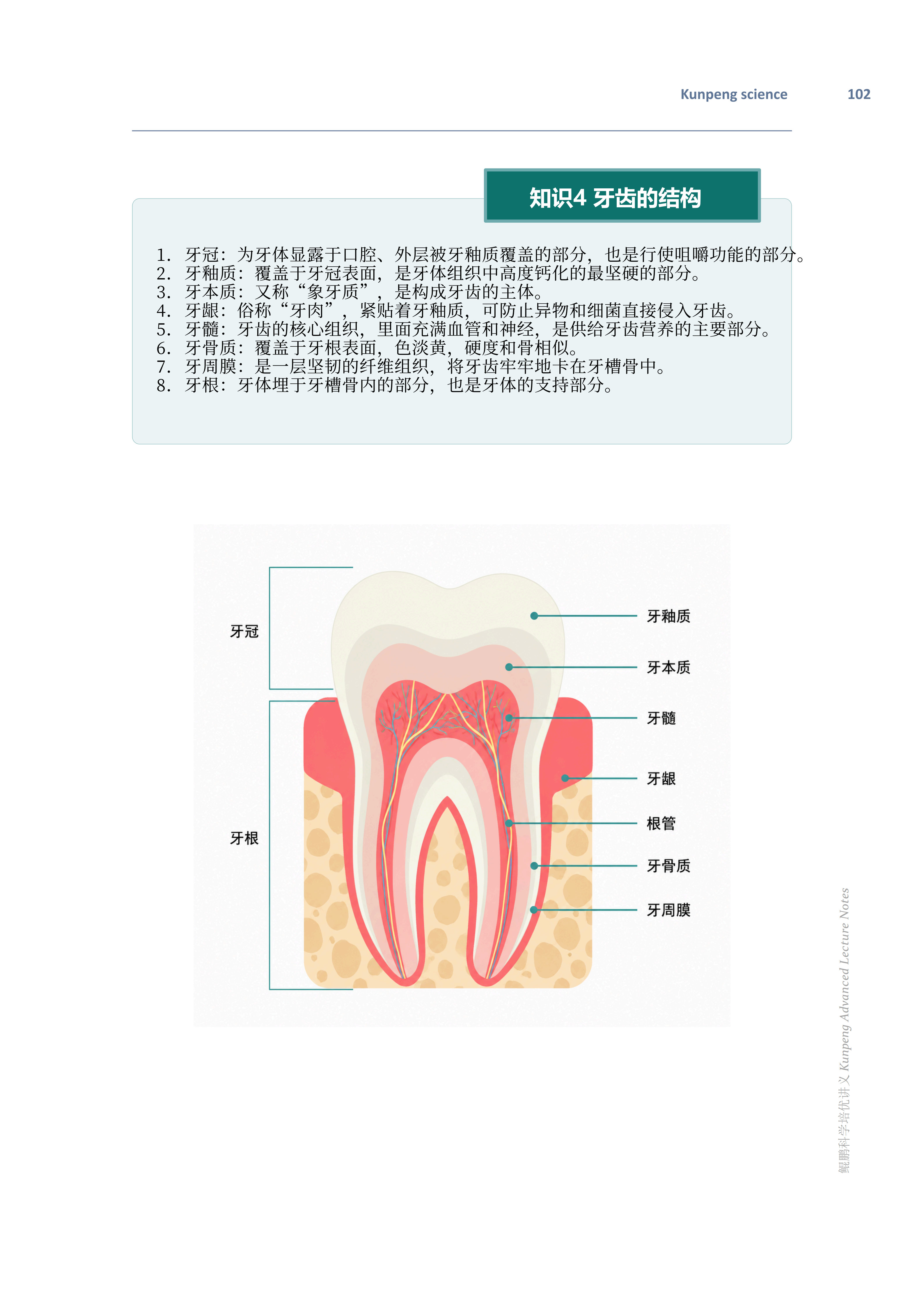 培优讲义 20