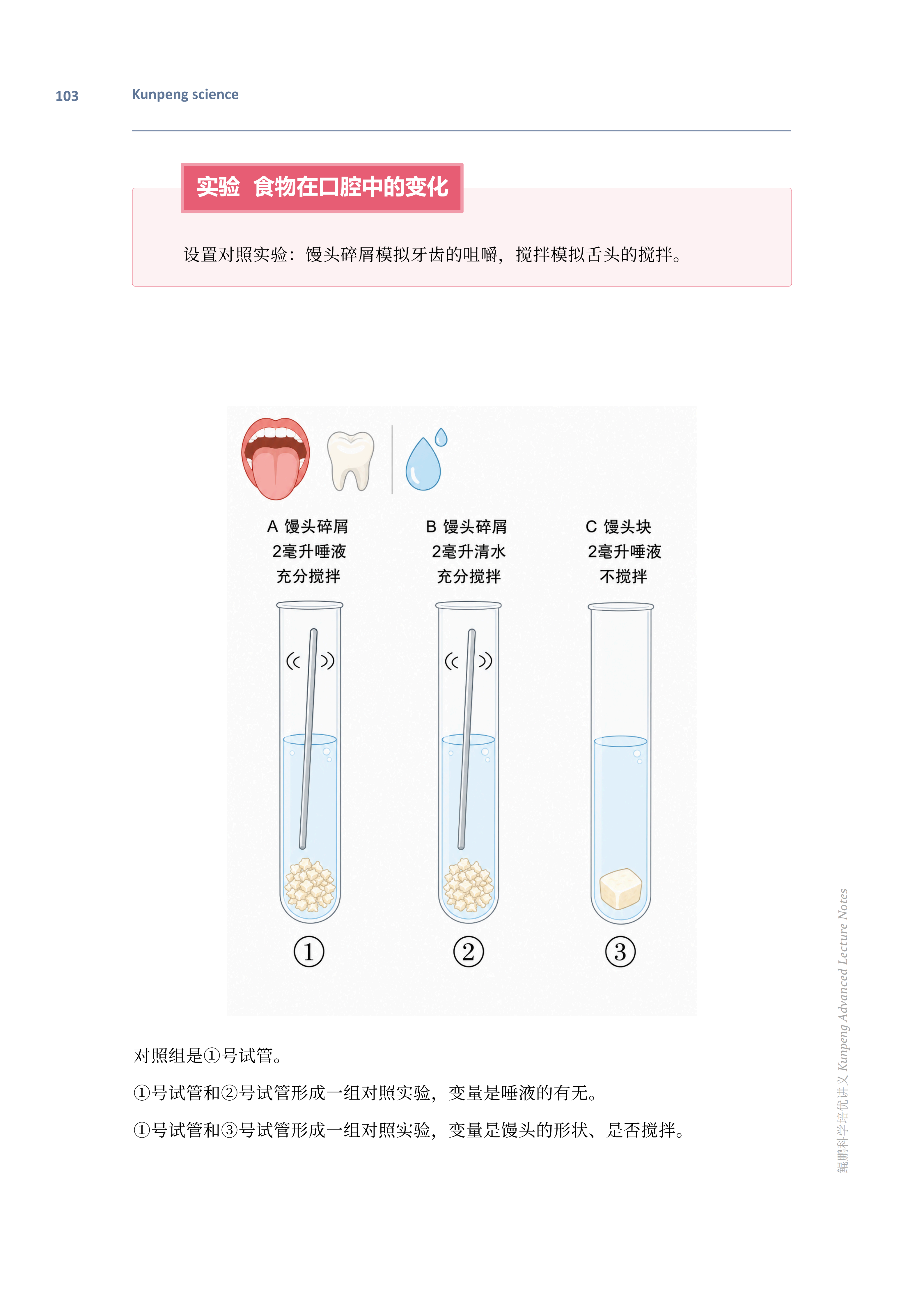 培优讲义 3