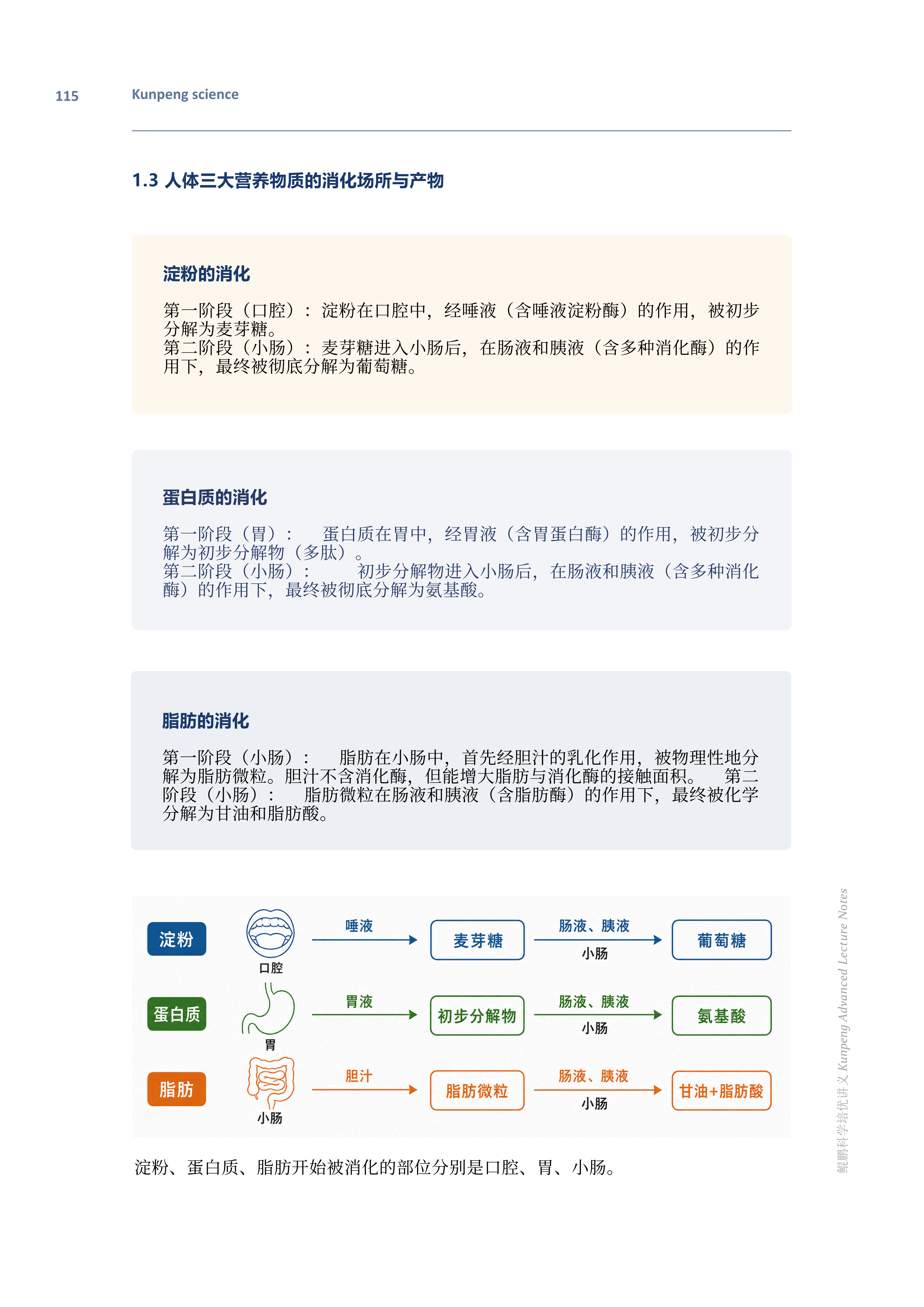 培优讲义 8